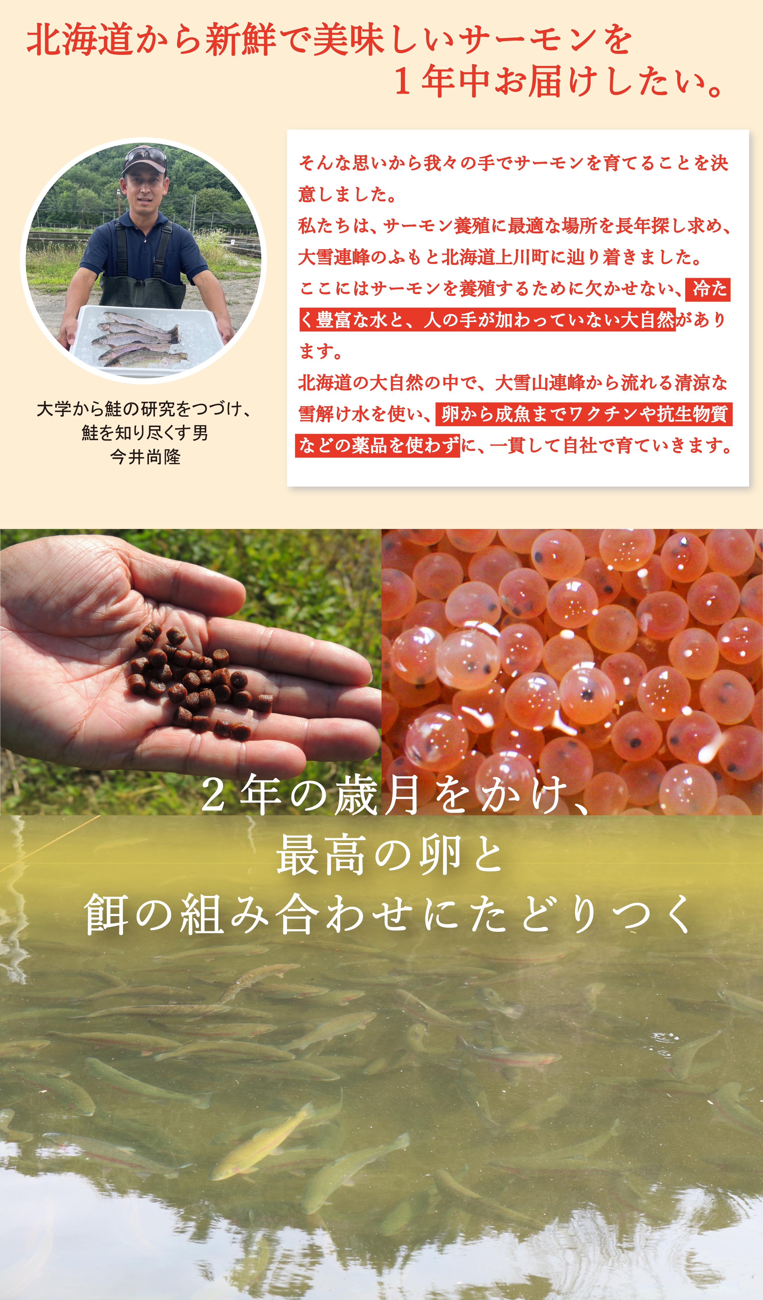 北海道上川町産大雪サーモン450gセット（お刺身用） | 全商品一覧